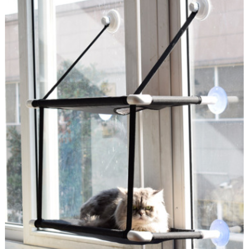 Cat lounging on a window-mounted hammock with a view of trees outside.