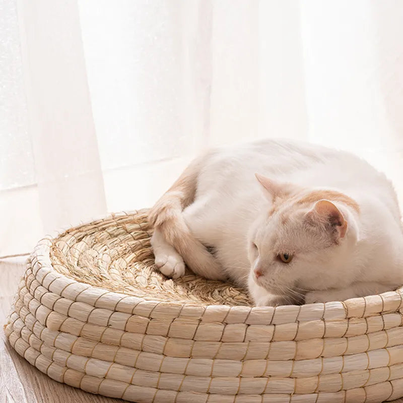 White cat lying on a woven cat bed with a soft white background