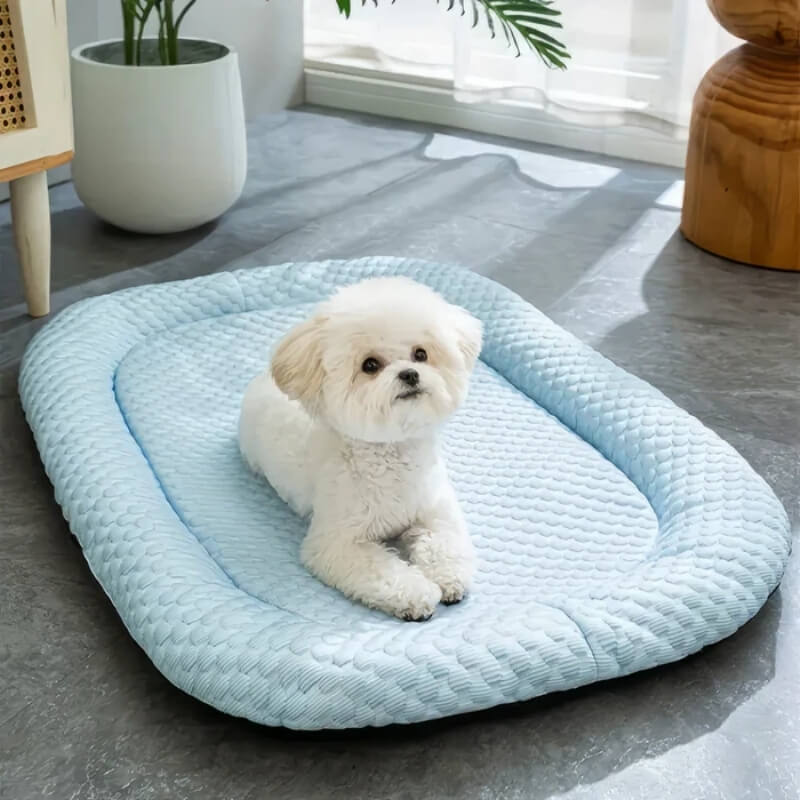 Dog Cooling Mat | Temperature Control, Non-Slip, Machine Washable