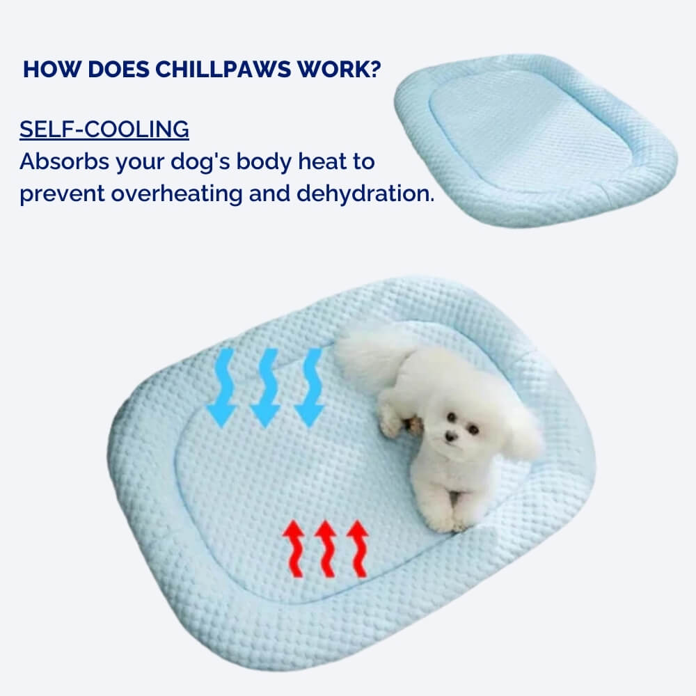 Dog cooling pad with text explaining how it works on a white background