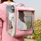 Person wearing a pink pet carrier with a white cat inside, outdoors.