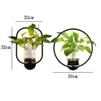LED Plant Wall Light with Glass Vase | Warm Backlight, Metal Frame