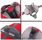 Red and gray pet harness with multiple views showing straps and design details.