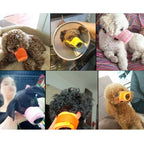 Collage of dogs wearing various types of muzzle devices.