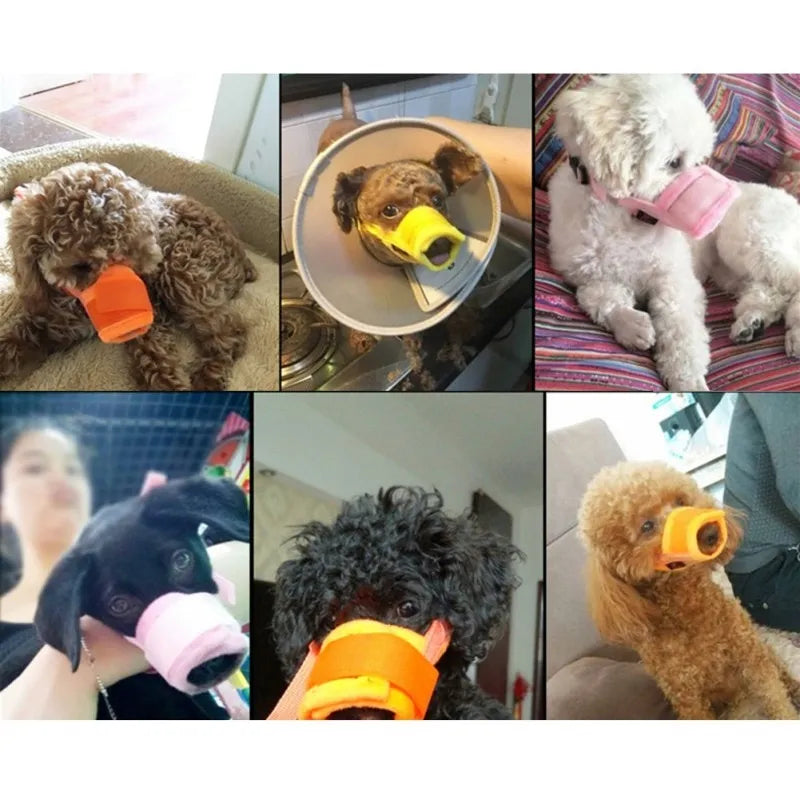 Collage of dogs wearing various types of muzzle devices.