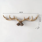 Decorative antler wall hook with measurements on a white background