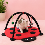 Cat playing with a ladybug-shaped cat toy on a pink background