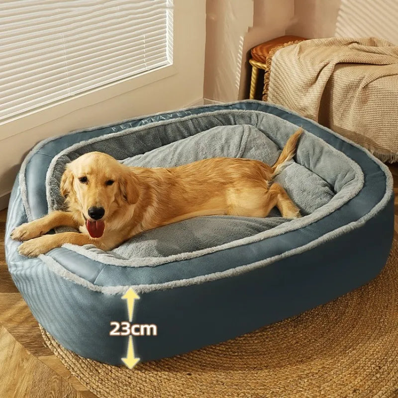 Dog lying on a blue pet bed with dimensions indicated