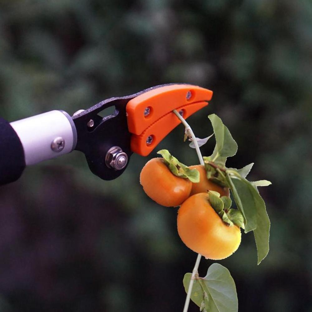 Gardening shears cutting a branch with fruits against a blurred green background
