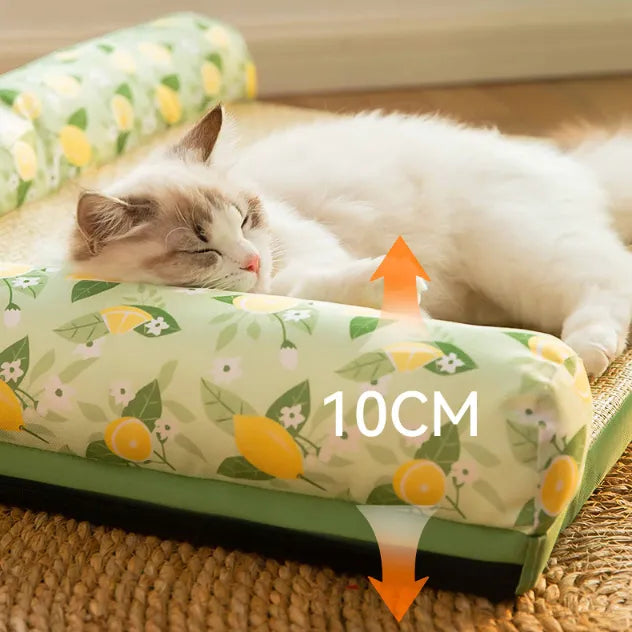 Cat lying on a green cushion with lemon pattern, labeled '10CM'.