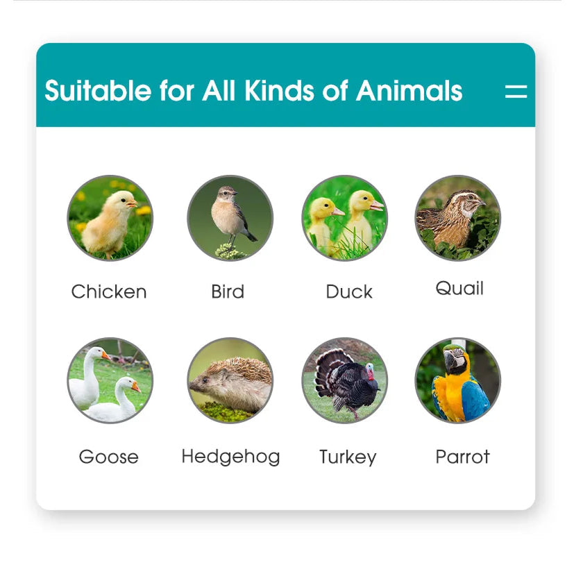 Categories of animals suitable for a product or service, including Chicken, Bird, Duck, Quail, Goose, Hedgehog, Turkey, and Parrot.