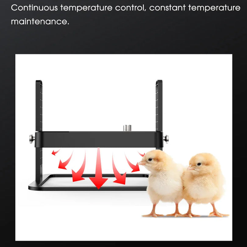 Two chicks standing under a heating pad with text about temperature control.