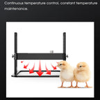 Two chicks standing under a heating pad with text about temperature control.