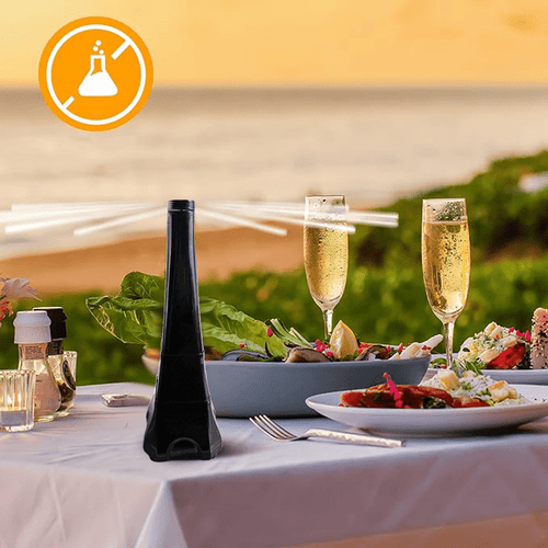 Table setting with champagne glasses, salad, and a black bottle on a scenic background.