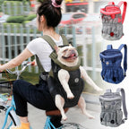 Woman riding a bike with a dog in a backpack, surrounded by various dog backpacks.