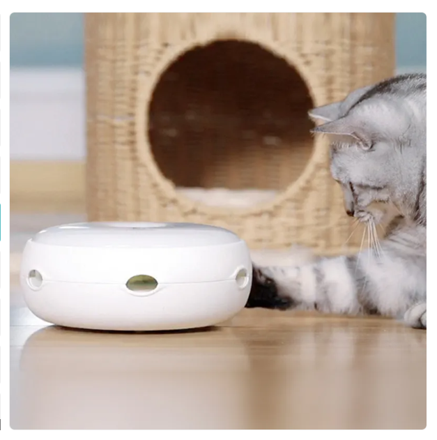 White pet toy on a wooden floor with a cat in the background