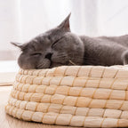 Gray cat sleeping on a woven basket with a blurred background