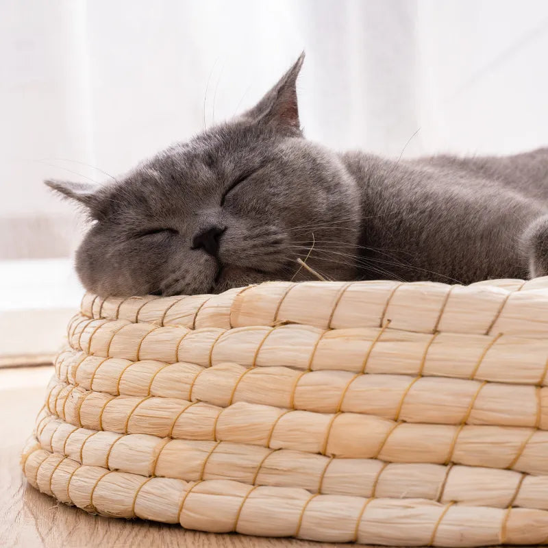 Gray cat sleeping on a woven basket with a blurred background