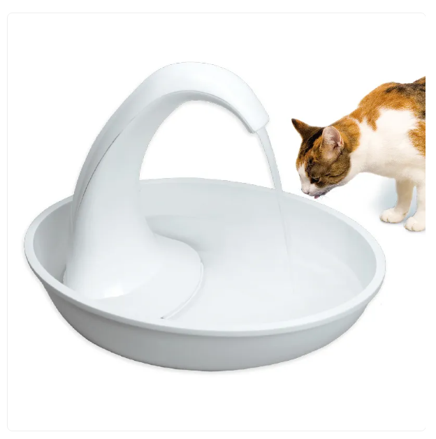 White pet water fountain with a cat looking at it on a white background