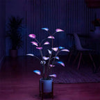Decorative plant with colorful lights in a dimly lit room