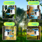 Solar-powered bird feeder in various outdoor settings including courtyard, riverside, forest, and field.