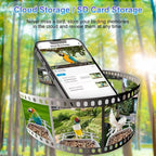 Smart bird feeder with smartphone app interface against a forest background
