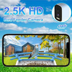 Bird feeder camera with smartphone displaying bird on a feeder against a scenic background