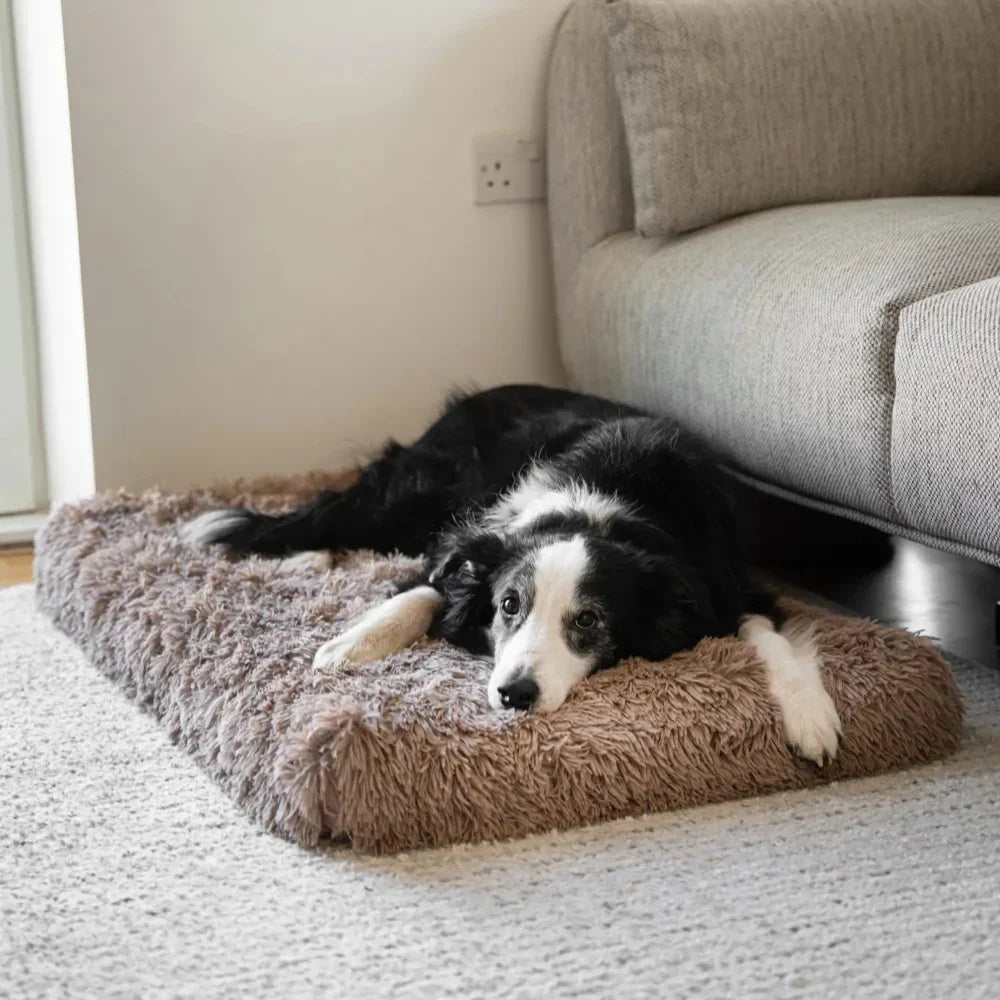 Dog lying on a fluffy brown mat in a living room.