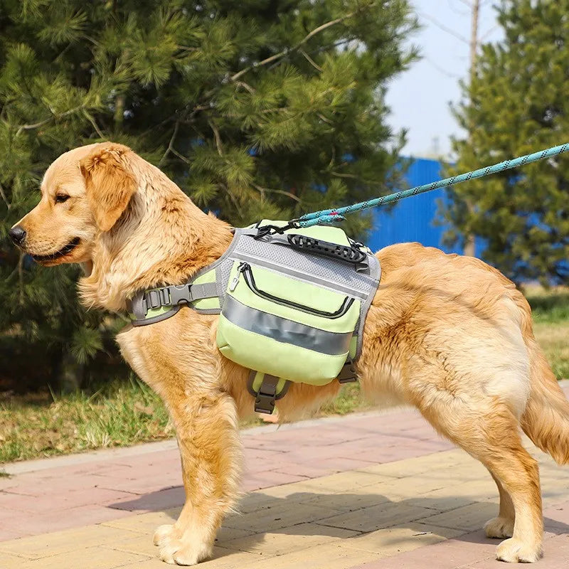 Dog wearing a green and gray backpack on a leash with trees in the background