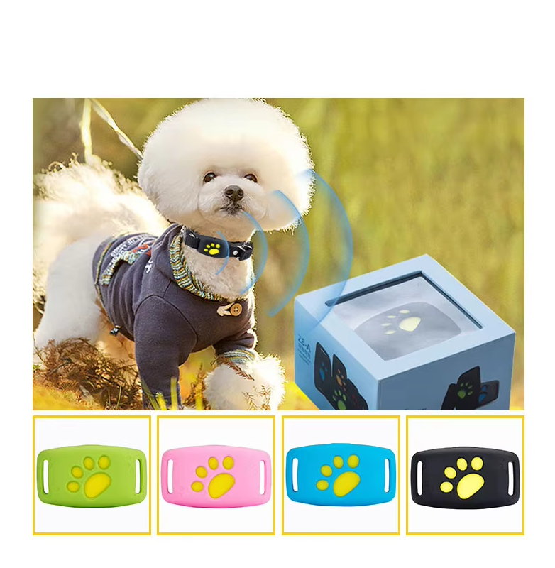White dog wearing a gray outfit with a blue electronic device and color options displayed.