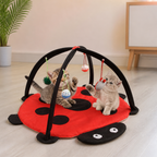 Cat play mat shaped like a ladybug with hanging toys, used by two cats indoors.