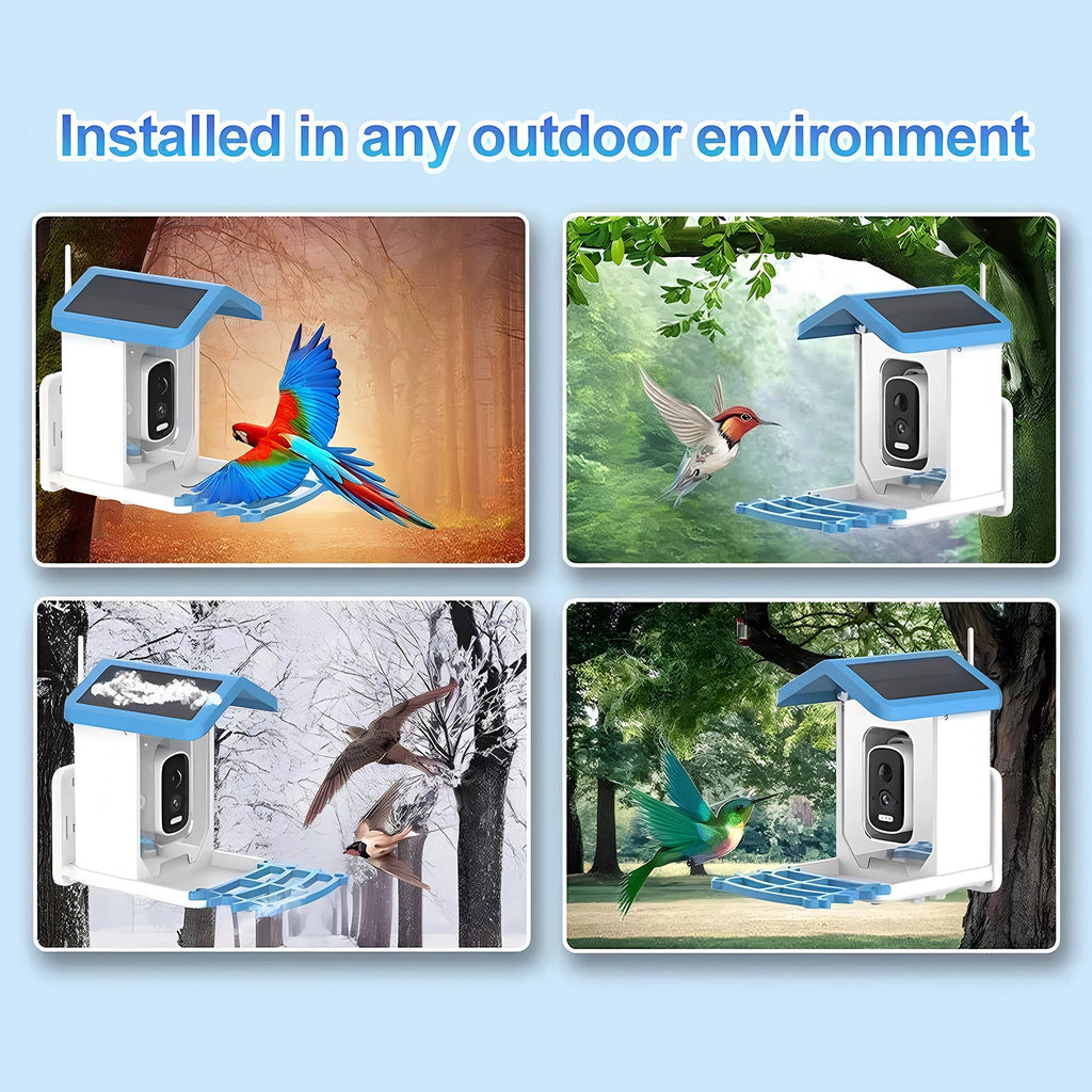 Solar-powered bird feeder with birds in various outdoor settings