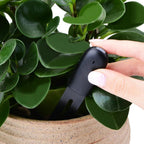 Hand holding a black device near a green potted plant