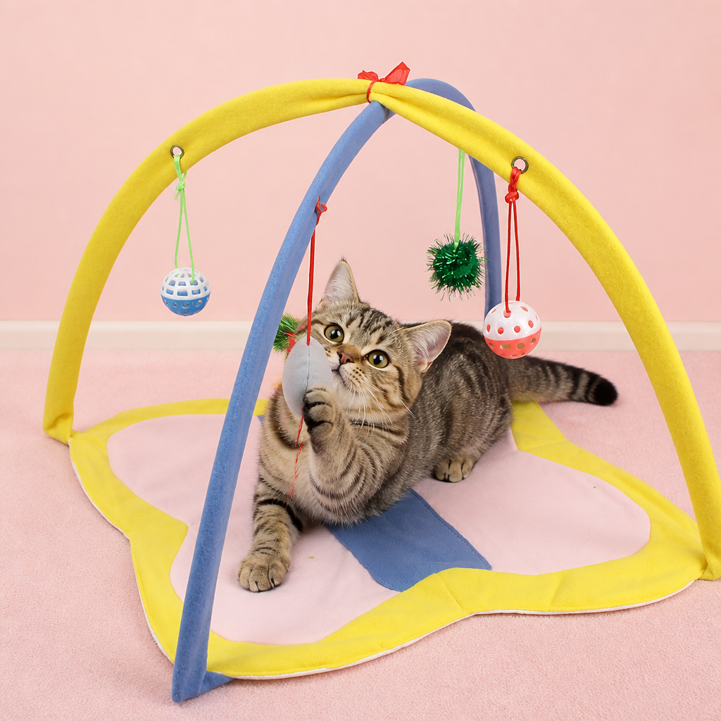 Cat playing with a colorful cat toy arch on a pink background