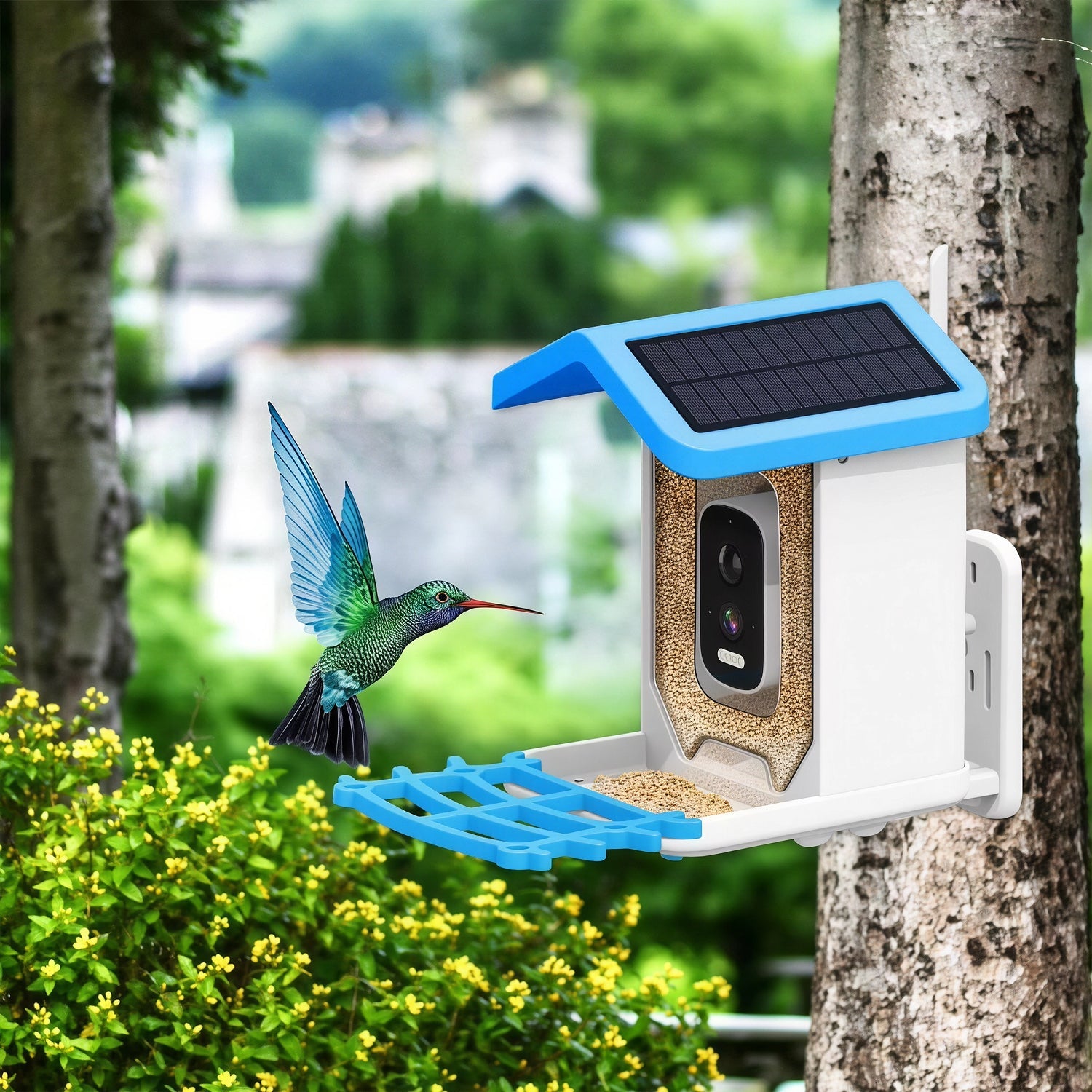 Solar-powered bird feeder attached to a tree with a hummingbird illustration.