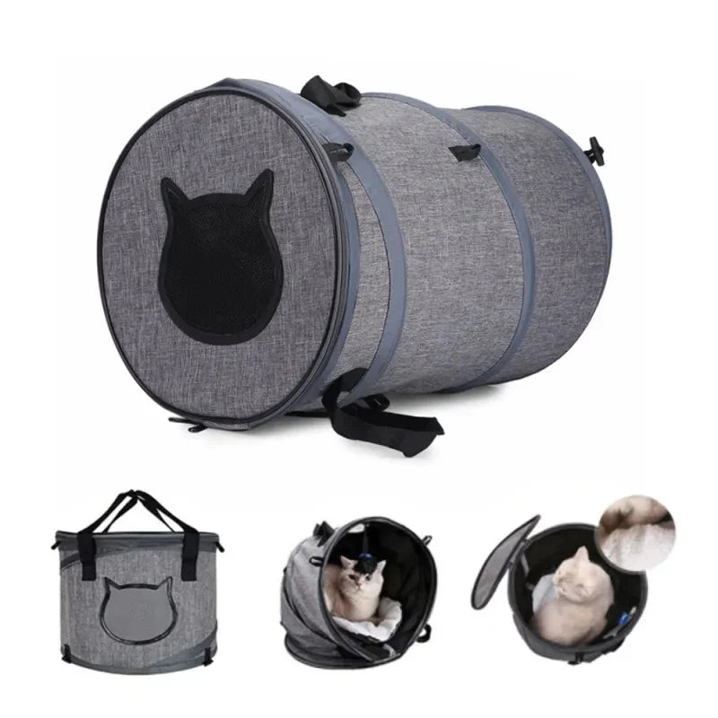 Collapsible pet carrier with a cat peeking out on a white background