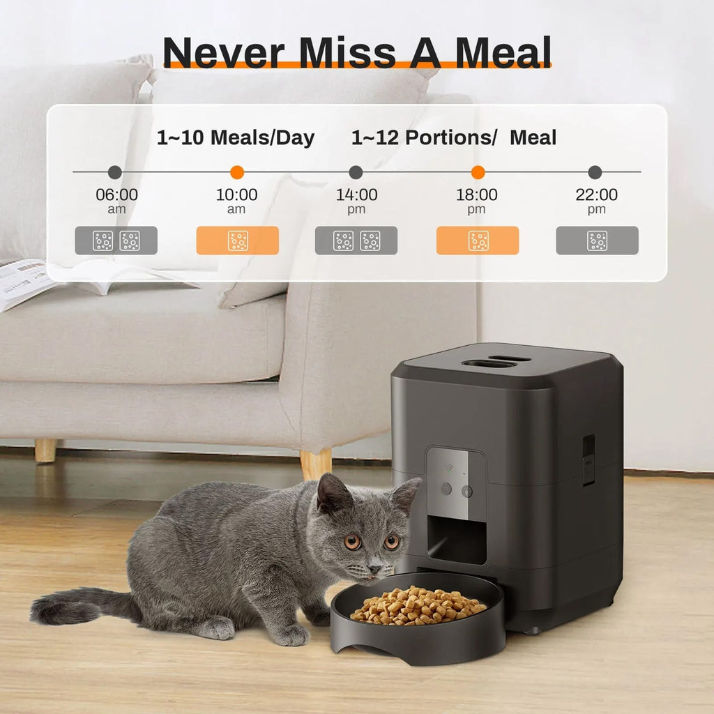 Cat next to an automatic pet feeder with a digital display showing feeding schedule.