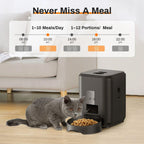 Cat next to an automatic pet feeder with a digital display showing feeding schedule.