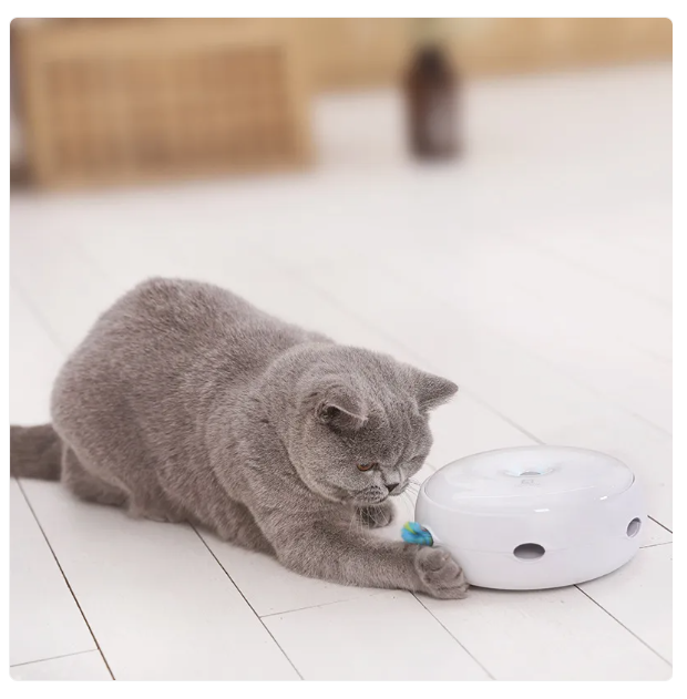 Gray cat interacting with a white electronic device on a tiled floor.