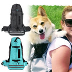 Two backpacks, one black and one blue, with a dog in a backpack worn by a person on a grassy background.
