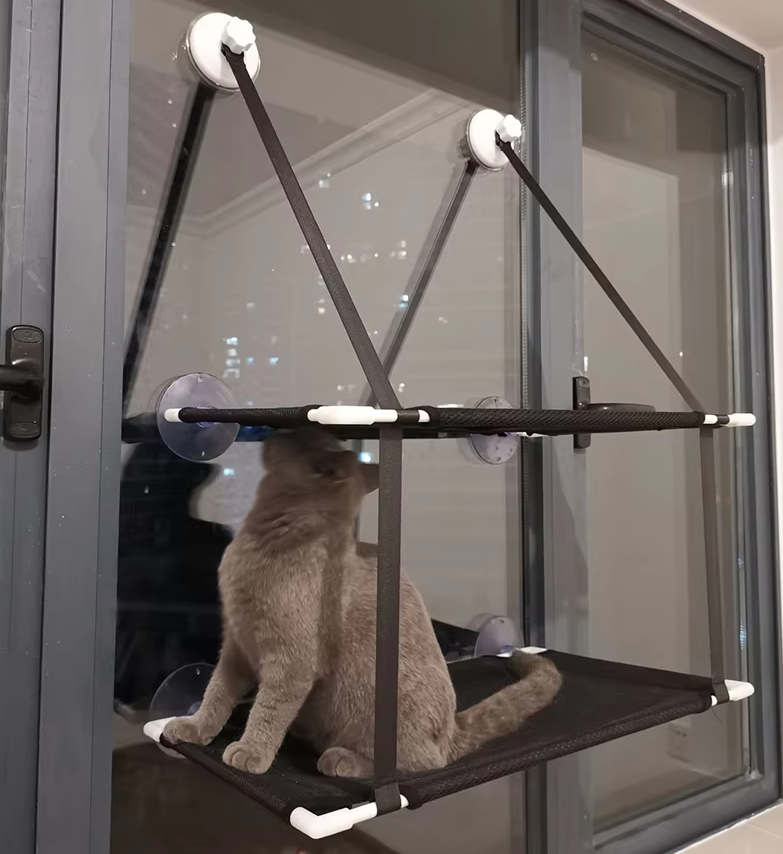 Cat sitting on a window-mounted hammock with a cityscape view outside.
