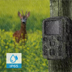 Deer in a field with a waterproof device labeled IP65