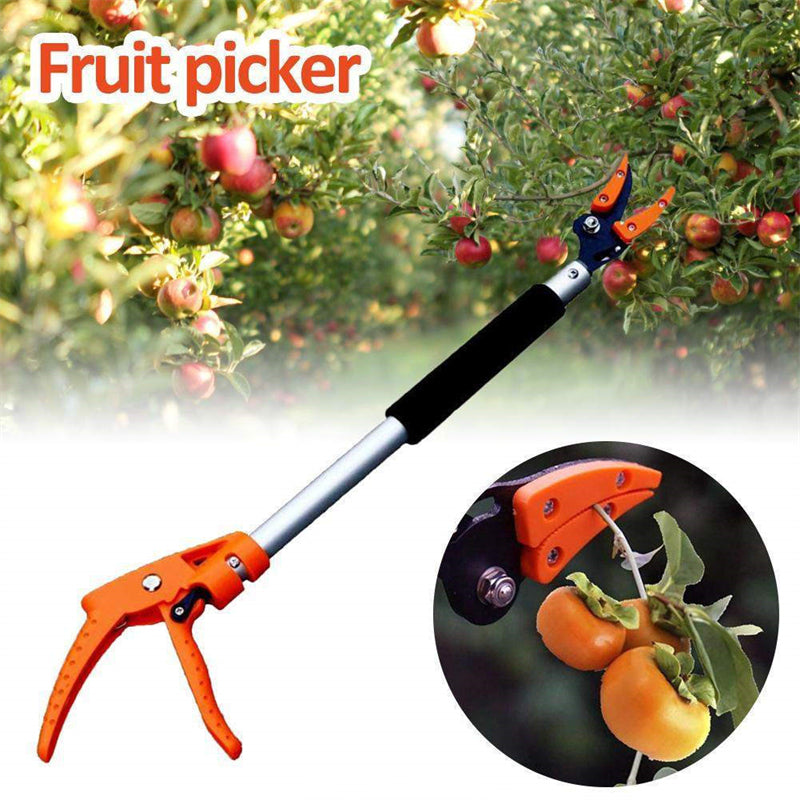 Fruit picker tool with an inset showing it picking fruit from a tree