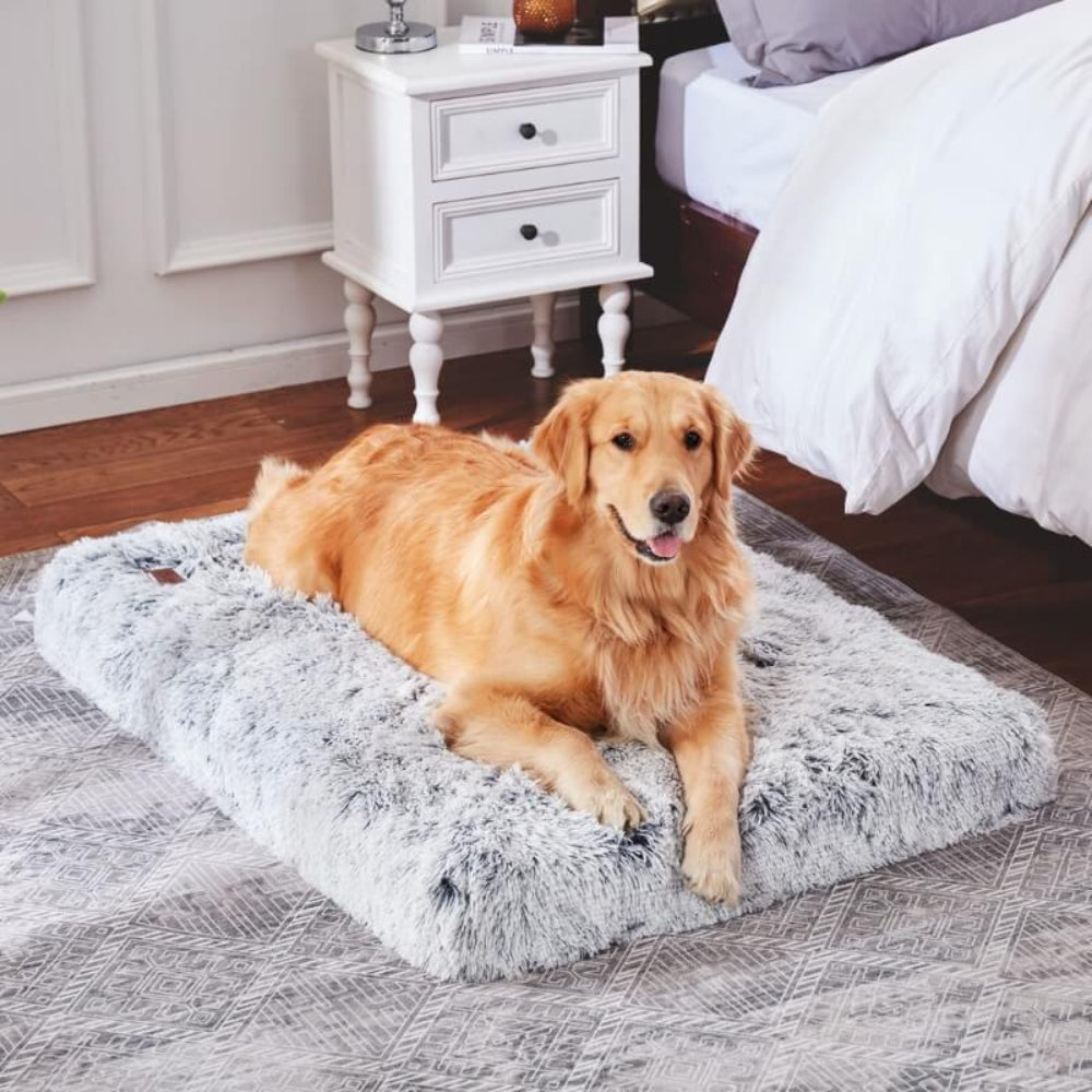 Dog lying on a fluffy gray pet bed in a bedroom.