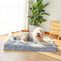 Dog lying on a fluffy blue mat in a bright room with a plant and wooden furniture.