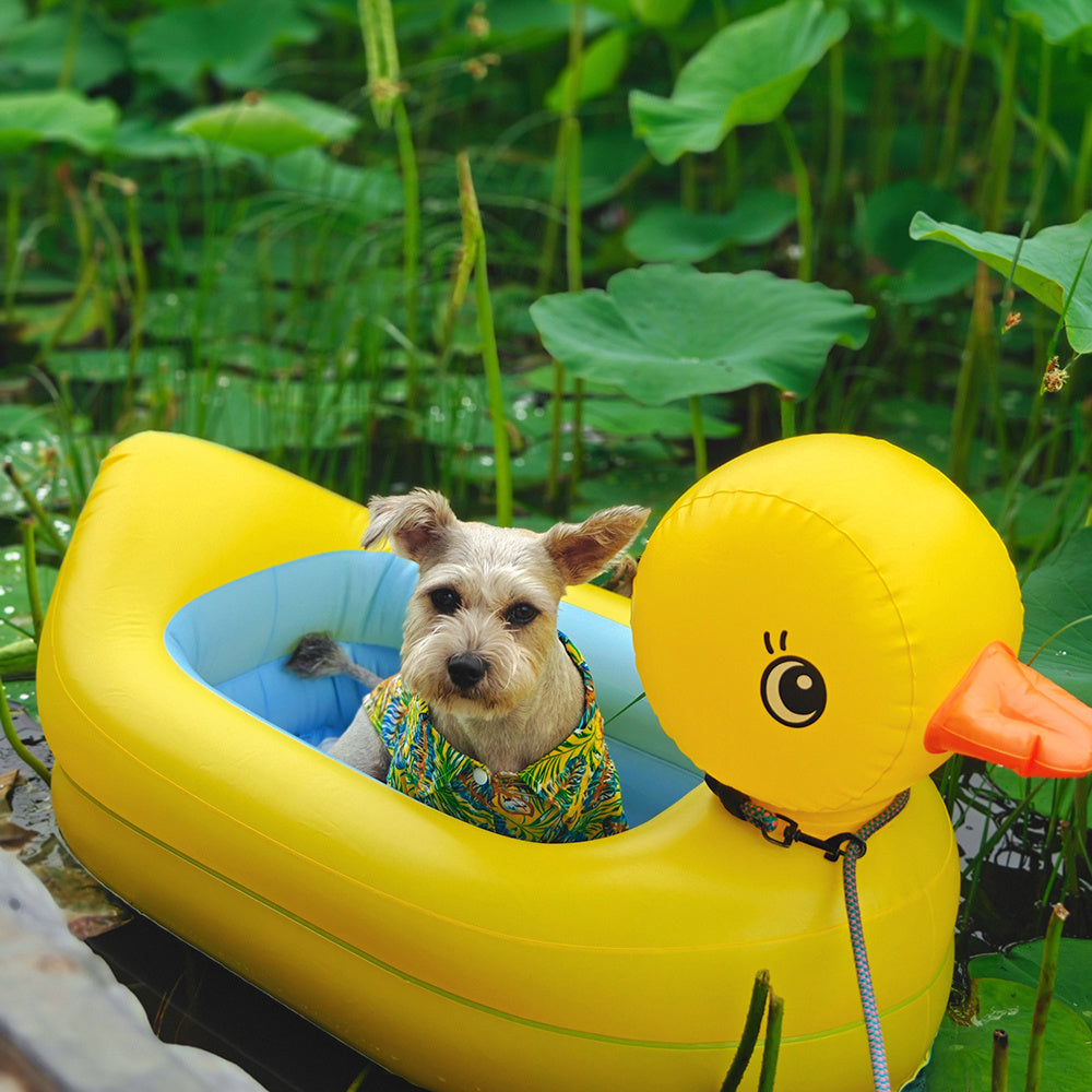 Dog in a small inflatable raft with a yellow rubber duck attachment surrounded by green foliage.