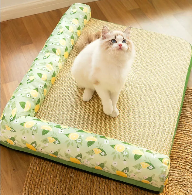 Cat sitting on a mat with a green patterned side