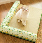 Cat sitting on a mat with a green patterned side