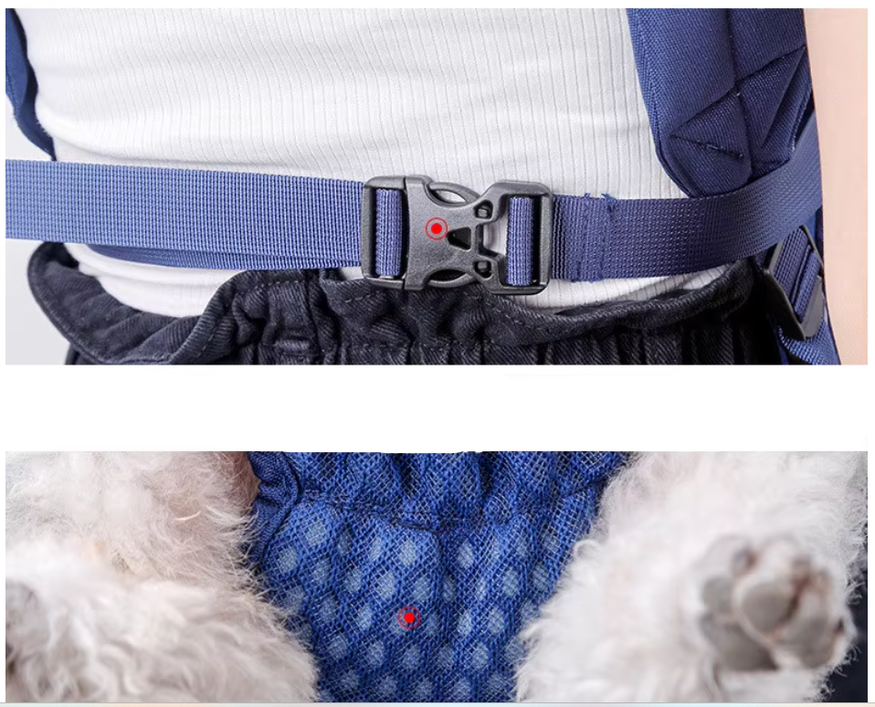 Dog harness with a blue strap and buckle, worn by a person.