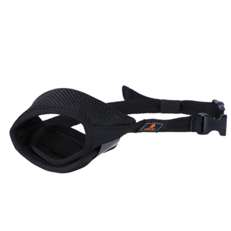 Black dog muzzle on a white background